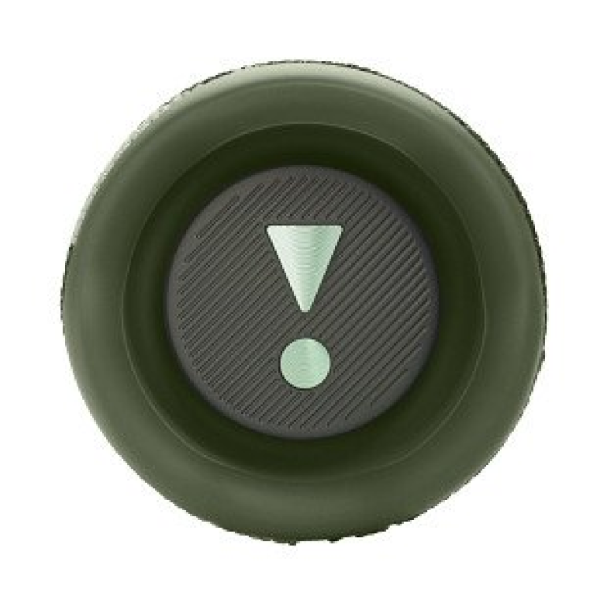 Портативна колонка JBL Flip 6 (Camo)