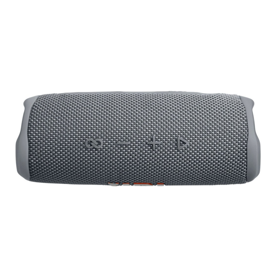 Портативна колонка JBL Flip 6 (Grey)