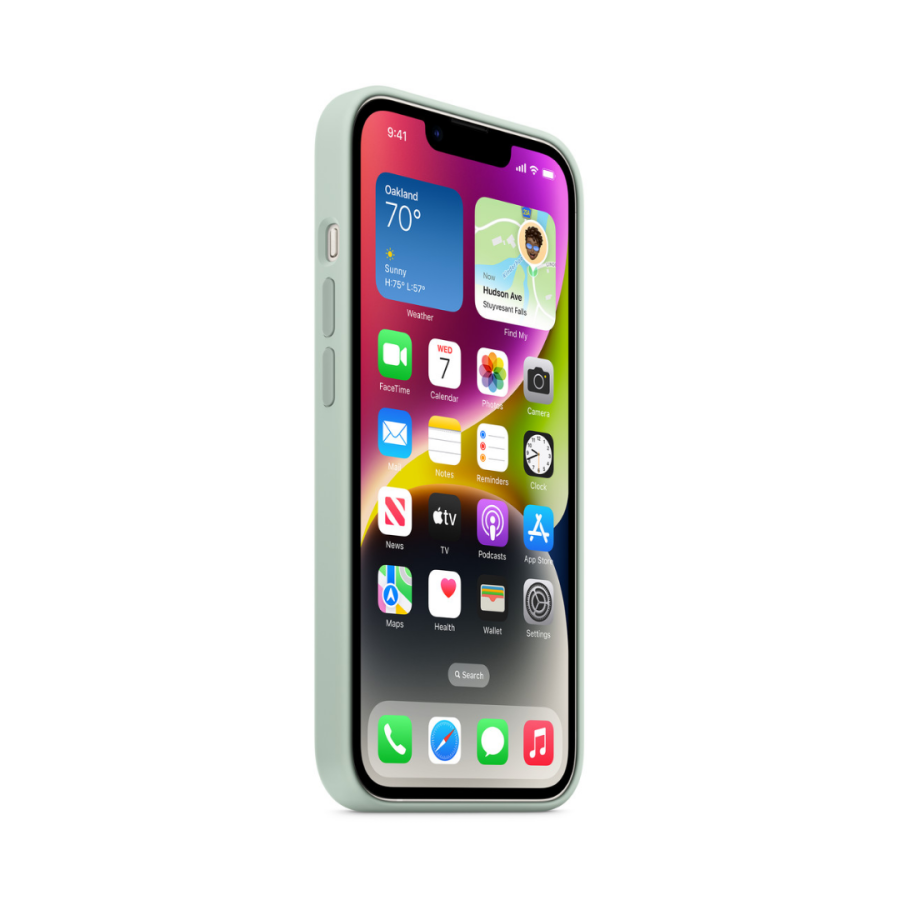 Чехол Apple Silicone Case with MagSafe для Apple iPhone 14 (Succulent)